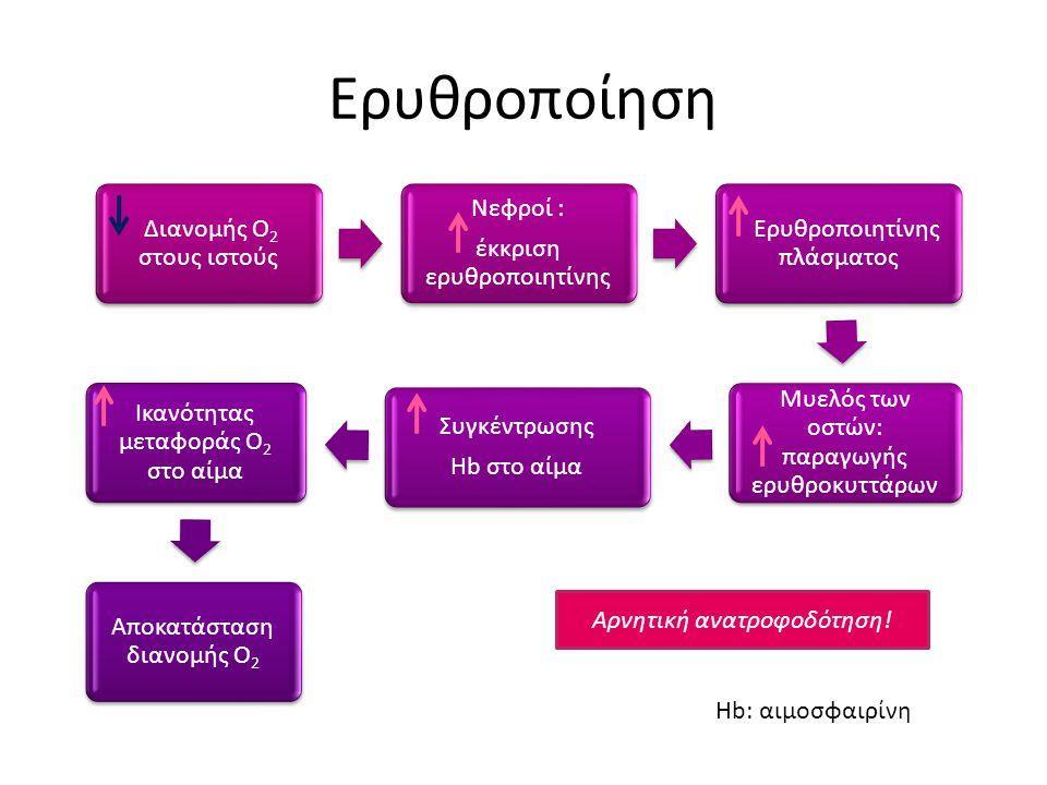 Επισημάνσεις -Αυξημένη κατανάλωση υδατανθράκων -Χρήση πρωτοκόλλου φόρτισης -Έλεγχος υγρών -Κατανάλωση τροφών με αντιοξειδωτική δράση -Κατανάλωση τροφών πλούσιες σε σίδηρο για αύξηση της