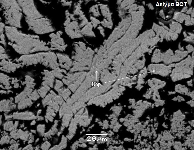 (BOT), με «κορδελοειδείς-σκωλικοειδείς» μορφές νεπουϊτη (Nep) [που συνίστανται από κάθετα φύλλα (flakes)].