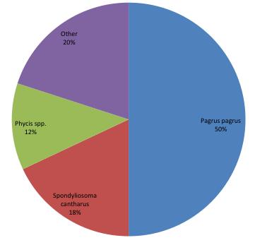 cantharus (18%) και τους σαλούβαρδους Phycis spp. (12%) (Εικόνα 1.2.10).