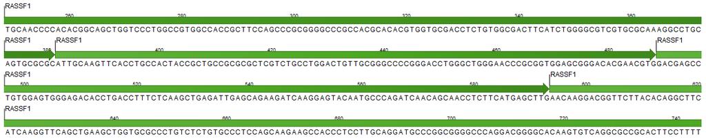 Σχήμα 5-6. Οι θέσεις των εκκινητών IDT στο mrna του RASSF1 γονιδίου.