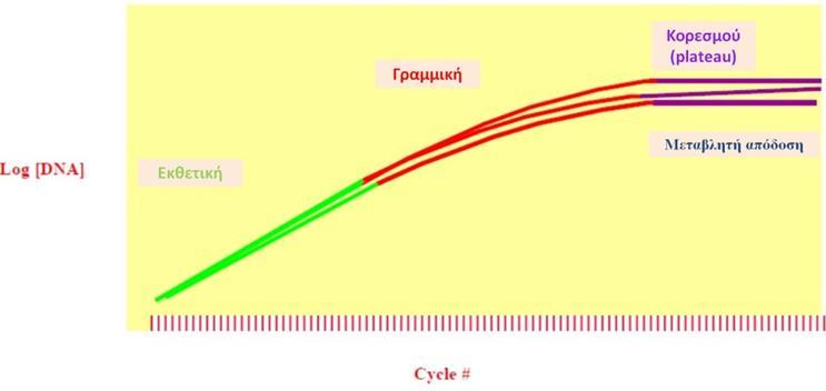 Σχήμα 4-4. Η κινητική της PCR. (www.lifetechnologies.com) 4.2.