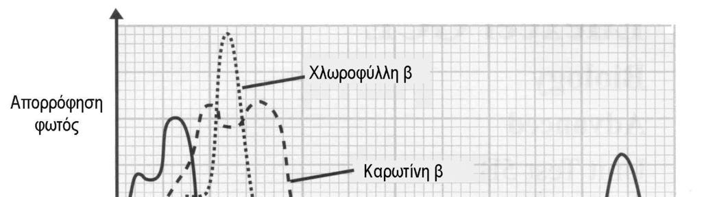 2 2. (α) Σε ποια κατηγορία οργανικών ουσιών ανήκουν τα μόρια Α και Β που φαίνονται πιο κάτω; (Μονάδα 0,5) (β) Να γράψετε τη χημική αντίδραση μεταξύ των ενώσεων Α και Β και να ονομάσετε το χημικό