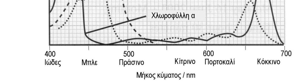 (Μονάδα 1) (δ) Να περιγράψετε και να εξηγήσετε σε συντομία τα τέσσερα επίπεδα οργάνωσης των πρωτεϊνών. (Μονάδες 2) 3.