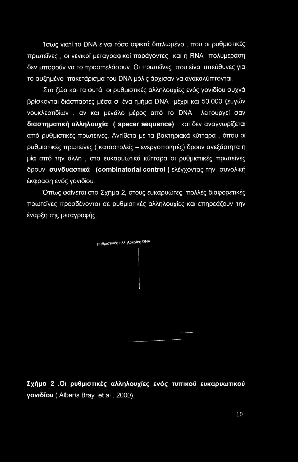 Στα ζώα και τα φυτά οι ρυθμιστικές αλληλουχίες ενός γονιδίου συχνά βρίσκονται διάσπαρτες μέσα σ ένα τμήμα DNA μέχρι και 50.