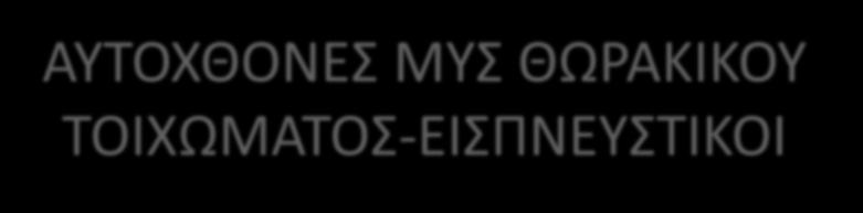 ΑΥΤΟΧΘΟΝΕΣ ΜΥΣ ΘΩΡΑΚΙΚΟΥ ΤΟΙΧΩΜΑΤΟΣ-ΕΙΣΠΝΕΥΣΤΙΚΟΙ Οπ.