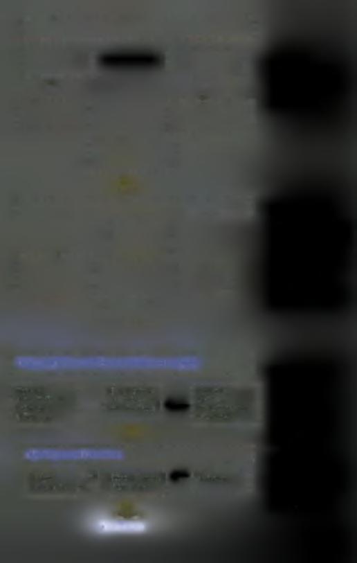 Μετά πρέπει να δημιουργηθούν στρατηγικές που θα επιτρέψουν στον Οργανισμό να πετύχει τους στόχους του.