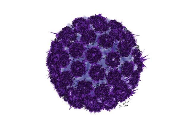 JC ΙΟΣ Ο ιός John Cunningham (JCV) ανήκει την οικογένεια των ιών Polyoma και το γονιδίωμα του είναι δίλωνο DNA.