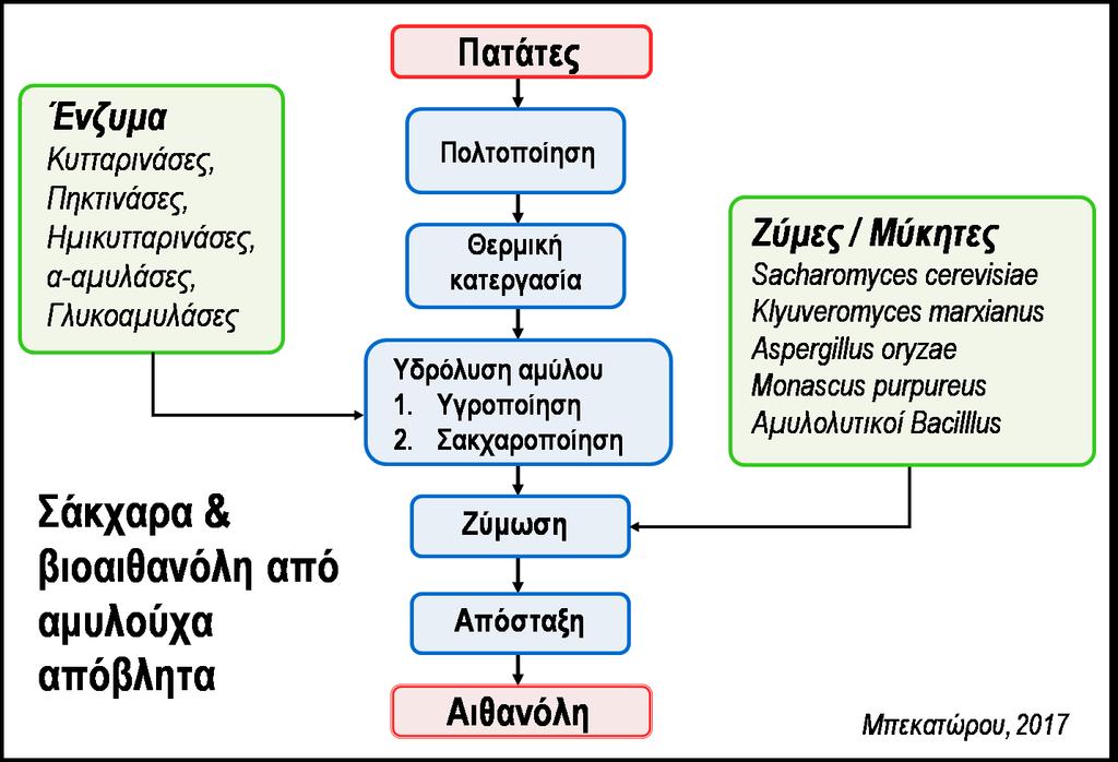 Μέρος 1 Ο Εισαγωγή Σε αντίθεση με άλλους τύπους φρούτων, τα εσπεριδοειδή είναι