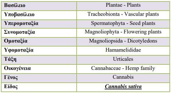 Πίνακας 3.3 Βοτανική ταξινόμηση της κλωστικής κάνναβης Πηγή: Natural Resources Conservation Service - USDA Χαρακτηριστικά Ανήκει στην οικογένεια των ελαιούχων κλωστικών φυτών.