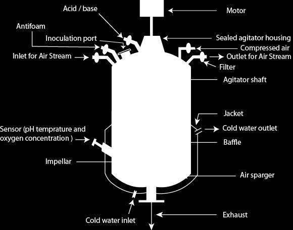Τι είναι ο βιοαντιδραστήρας Βιοαντιδραστήρας: Δοχείο μέσα στο οποίο πραγματοποιείται μια βιολογική δράση, συνήθως ζύμωση (δράση ζωντανών κυττάρων) ή βιομετατροπή (χρήση ενζύμων).