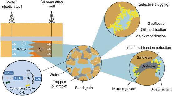 Microbial Enhanced