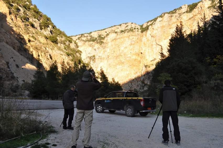 Εικόνα 4: Απογραφή Όρνιων στο φαράγγι της Κλεισούρας (φωτ.