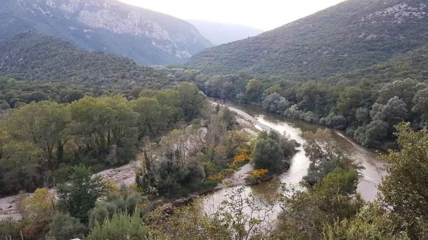 ΣΤΕΝΑ ΝΕΣΤΟΥ Η αποικία Όρνιων των Στενών Νέστου αποτελούσε μέχρι το 2012 μία από τις πλέον εύρωστες και πολυάριθμες στην ηπειρωτική χώρα (εκτιμάται ότι έφτανε τα 17-20 ζευγάρια), όταν ένα πολύ σοβαρό