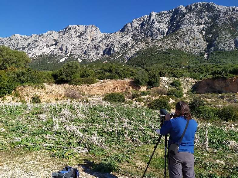 ΑΠΟΤΕΛΕΣΜΑΤΑ ΑΝΑ ΠΕΡΙΟΧΗ ΠΑΡΑΚΟΛΟΥΘΗΣΗΣ ΑΚΑΡΝΑΝΙΚΑ ΟΡΗ - ΠΑΛΑΙΡΟΣ Στην περιοχή της Πάλαιρου η αναπαραγωγική αποικία των Όρνιων εντοπίζεται στους δυτικής έκθεσης κρημνούς του όρους Τσέρεκα, ενός