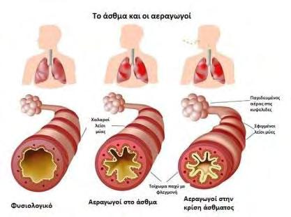 36 Εικόνα 2.