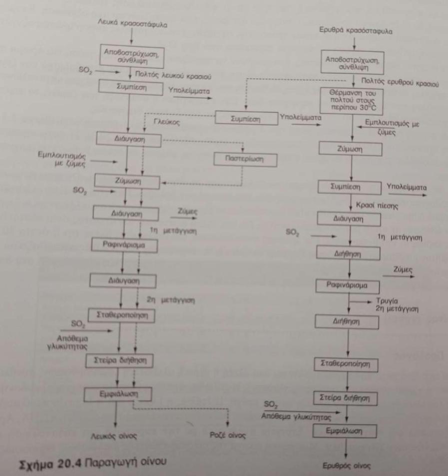 Figure 1 Διαγράμματα ροής παραγωγής λευκού και ερυθρού οίνου (Belitz, 2009) 1.4.