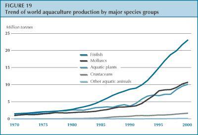 Υδατοκαλλιέργειες: ταχύτερα αναπτυσσόμενο σύστημα παραγωγής τροφής