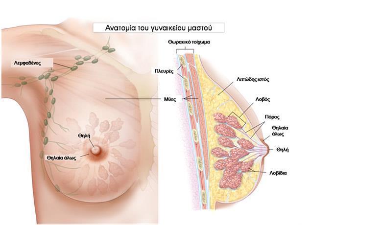 Εικόνα 1.