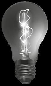 The element that has negative temperature coefficient of resistivity (7).