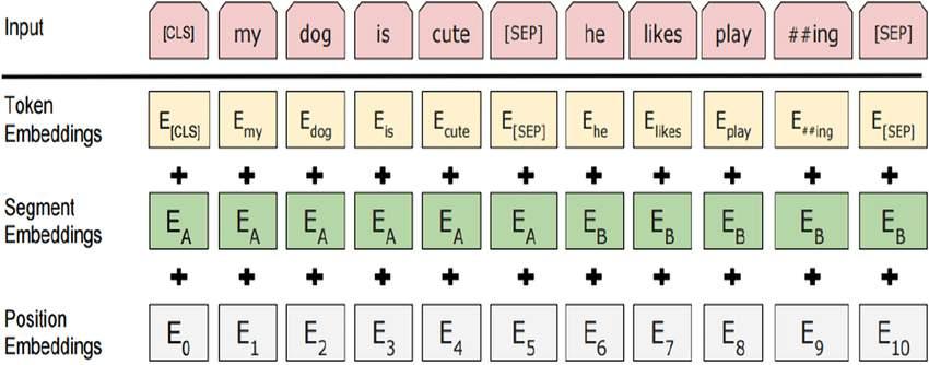 Figure 3: How the input is formatted when given to BERT The hidden representations of the tokens become more task specific as we dive deeper into each encoder layer.