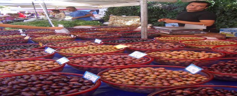 4 η Ομάδα: Η ιστορία: Η ελιά στη μυθολογία, στα αρχαία χρόνια, στη Θρησκεία.