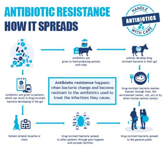 δεν γίνεται με ακρίβεια, τις περισσότερες φορές συνταγογραφούνται αντιβιοτικά ευρέος φάσματος, δηλαδή αντιβιοτικά που σκοτώνουν μεγάλο ποσοστό διαφόρων βακτηρίων και όχι μόνο τα βακτήρια εκείνα που