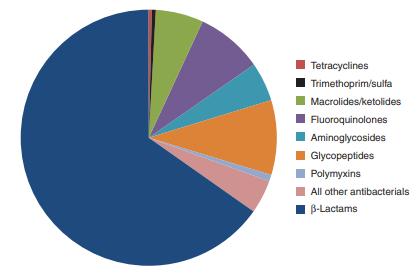 ποσοστό. Σε μικρότερες αναλογίες οι φθοροκινολόνες 8% τα μακρολίδια 6%, οι αμινογλυκοζίτες, 5% και οι τετρακυκλίνες 0,4%, ενώ το υπόλοιπο ποσοστό καλύπτεται από άλλα αντιβιοτικά [15].