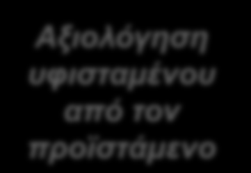 Case Study: Σύστημα Μέτρησης Απόδοσης σε FMCG εταιρεία Στόχος του Γ επιπέδου ήταν η συνεχής ανάπτυξη του προσωπικού και το multi-skilling Αξιολόγηση υφισταμένου από τον προϊστάμενο Χαρακτηριστικά Η