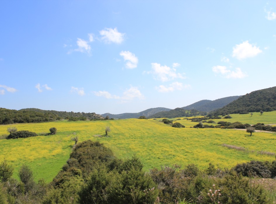 3. ΚΑΘΙΕΡΩΣΗ ΕΛΑΧΙΣΤΩΝ ΠΕΡΙΒΑΛΛΟΝΤΙΚΩΝ ΠΡΟΔΙΑΓΡΑΦΩΝ ΚΑΙ ΠΡΟΩΘΗΣΗ ΒΙΩΣΙΜΩΝ ΜΕΘΟΔΩΝ ΠΑΡΑΓΩΓΗΣ: Τα φυσικά οικοσυστήματα (τα οποία προσφέρουν σημαντικότατες υπηρεσίες στην γεωργία και στον άνθρωπο