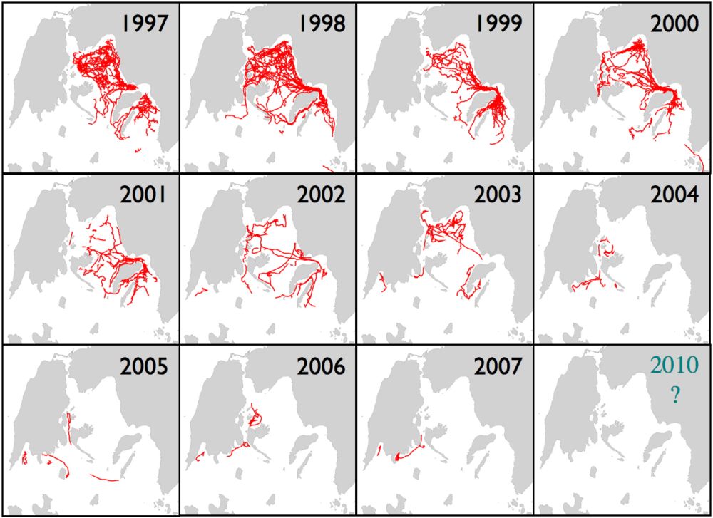 Η καταγραφή της παρουσίας κοινών δελφινιών στην θαλάσσια περιοχή ανατολικά της Λευκάδας και γύρω από το νησί Κάλαµος την περίοδο 1997-2007 (κόκκινες γραµµές 1 ) υποδηλώνουν την έκταση της συρρίκνωσης