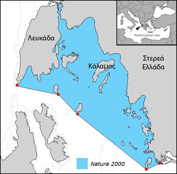 Τα αναγκαία µέτρα προστασίας Η θαλάσσια περιοχή ανατολικά της Λευκάδας και γύρω από τον Κάλαµο είναι σηµαντική περιοχή αναπαραγωγής κοπαδιών επιπελαγικών ψαριών (Somarakis et al.