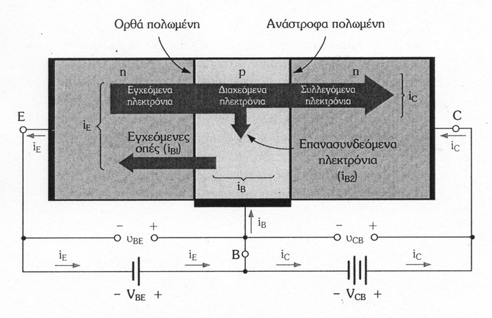 3.4 Λειτουργία του τρανζίστορ npn στην ενεργό περιοχή Στο σχήµα 3.3 φαίνεται η λειτουργία του τρανζίστορ npn στην ενεργό περιοχή.