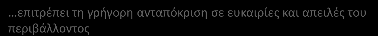 επειδή επιτρέπει τη γρήγορη ανταπόκριση σε ευκαιρίες και απειλές του περιβάλλοντος είναι δύσκολο και