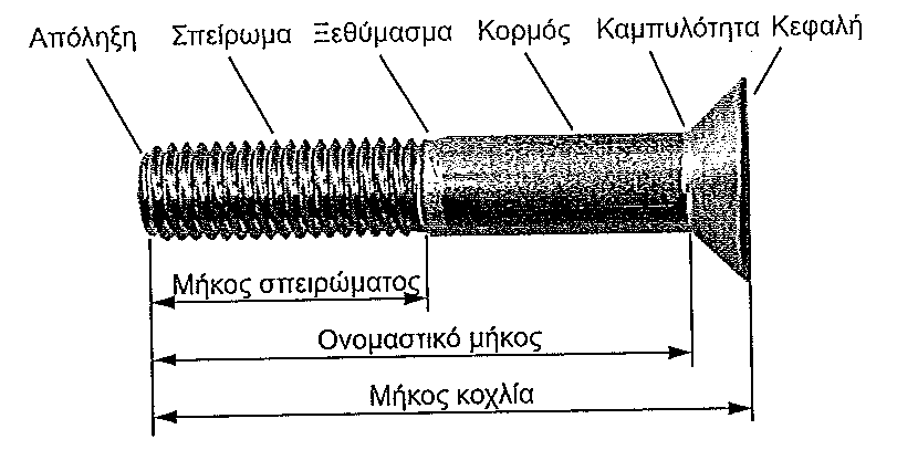 δηλαδή, στη διαμόρφωση της κεφαλής, του κορμού και του περικοχλίου τους.