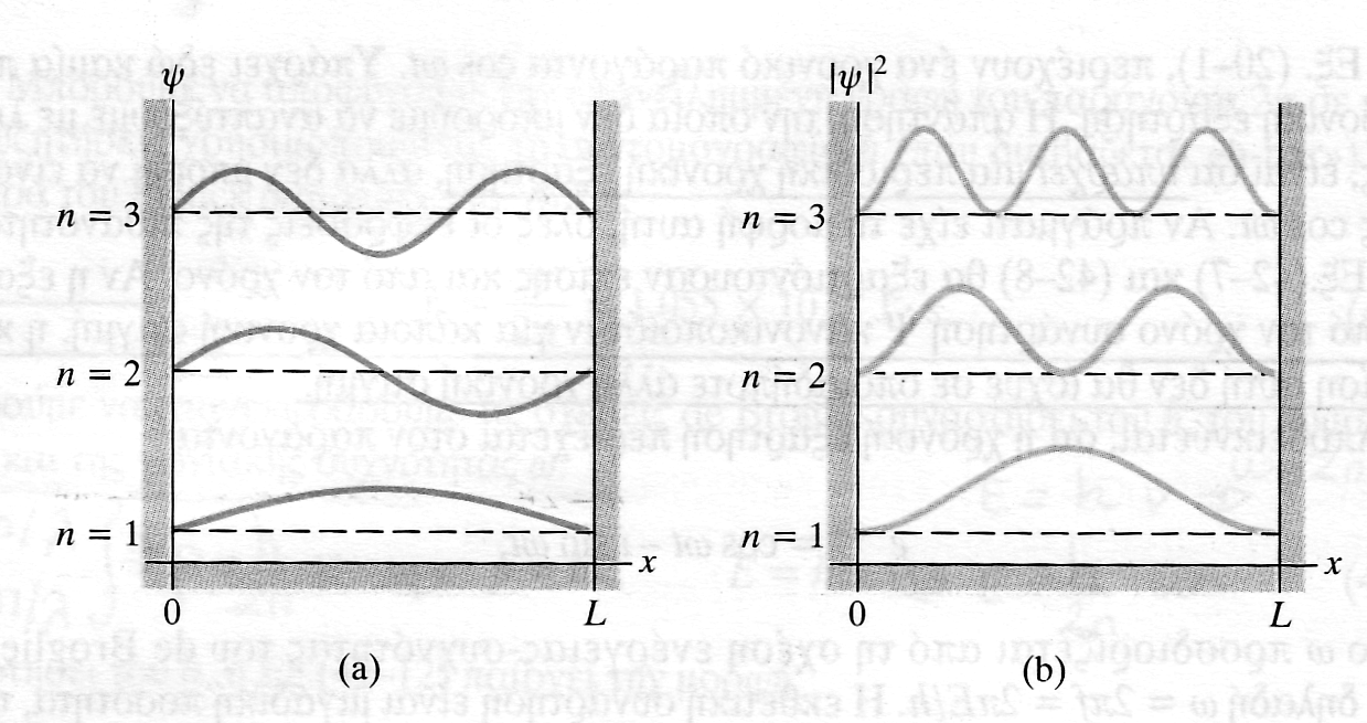 του χ) είναι η πιθανότητα να βρίσκεται το σωµατίδιο στο µικρό διάστηµα dx κοντά στο x. Στην περίπτωση µας: nπx ψ dx= A sin dx. L Σχ. 4 Η ποσότητα ψ έχει παρασταθεί γραφικά στο Σχ. 7 για η = 1, και 3.