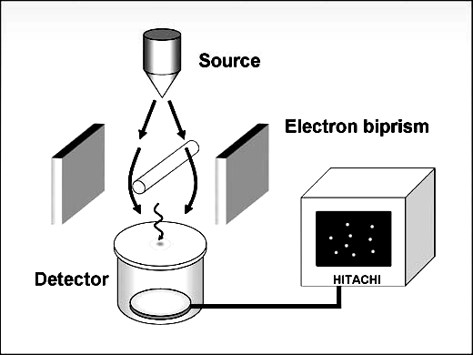 Παράρτηµα Το πείραµα των A. Tonomura, J. Endo, T. Matsuda, T. Kawasaki, (American Journal of Physics, Feb. 1989).