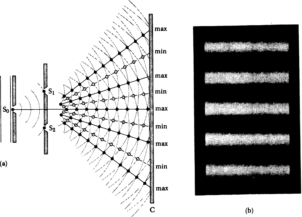 Σχήµα 1 (a) ιάγραµµα του πειράµατος των δύο σχισµών τού Young. Οι στενές σχισµές παίζουν τον ρόλο πηγών εκποµπής δευτερογενών κυµάτων.