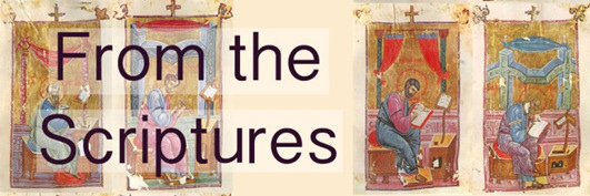 experience that lifegiving energy. Gospel Reading July 21 st (Matthew 8: 5-13) Fourth Sunday of Matthew his passage tells T the story of the Roman centurion who asks Jesus to heal his sick servant.