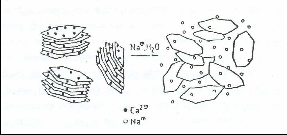 Εικ. 1.1 Δημιουργία κολλοειδών αιωρημάτων νατριούχων σμεκτιτών [Κοκκίδης, 2006] 1.4.