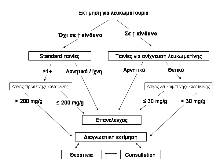 5.2.2. Όταν ελέγχονται ενήλικες με χρόνια νεφρική νόσο η πρωτεΐνη/ κρεατινίνη σε τυχαίο δείγμα πρέπει να μετράται χρησιμοποιώντας τον δείκτη λευκωματίνη/ κρεατινίνη ή όταν λευκωματίνη/ κρεατινίνη >