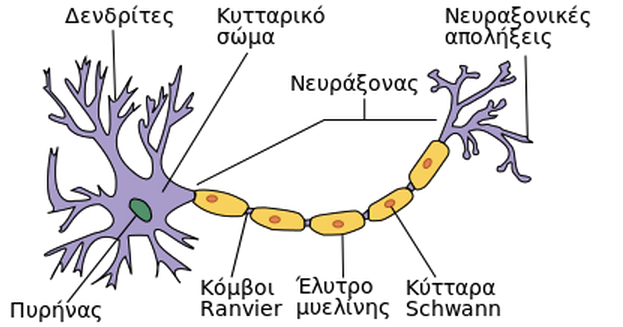 20 ΚΕΦΑΛΑΙΟ 1. ΕΙΣΑΓΩΓΗ Σχήμα 1.