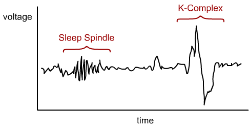 1.2. SCALP EEG 23 Σχήμα 1.3: K complex και spindle άλφα με συχνότητες στο εύρος 8-12Hz βήτα με συχνότητες στο εύρος 12-30 Hz γάμμα περιλαμβάνει συχνότητες μεγαλύτερες ή ίσες των 30Hz.