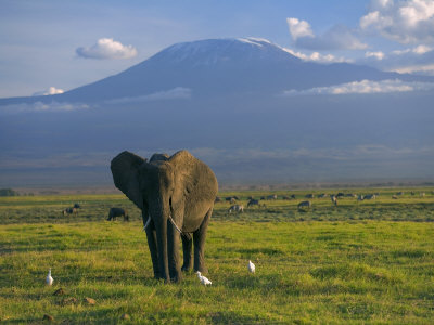 Το Εθνικό Πάρκο Μασάι Μάρα Το Εθνικό Πάρκο Μασάι Μάρα βρίσκεται στη νοτιοδυτική Κένυα και αποτελεί την εντός των κενυάτικων συνόρων βόρεια