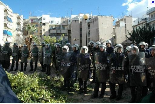 Σε αυτή την ενέργεια του Δήμου Αθηναίων, στις 26 1 2009, τοποθετήθηκε και η Διεύθυνση Δασών Αθηνών αναφέροντας ότι αυθαίρετα και χωρίς την προαπαιτούμενη έγκριση πραγματοποιήθηκε η υλοτομία εκρίζωση