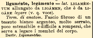 ΑΣ5 ΚΑΡΑΒΙ Page 5 Τρ. Γ. Μητσάκη Φτωχο κομπολογακι μου Χασαμε και τη γκόμενα και ολα τα επομενα τώρα έχασα και σένα γράψε αλίμονο σε μένα Το αγόμενα εναι πολύ σωστη παρατήρηση και μαλλον αυτο ισχύει.