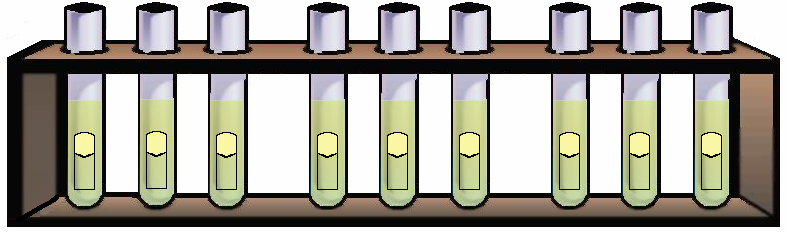 Δοκιμασία Πλήρης Επιβεβαίωσης H2 O 10 ml 10 ml 10 ml H2 O 1 ml 1 ml 1 ml H2 O 0.1 ml 0.1 ml 0.1ml E.