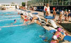 Το Τοπικό Συμβούλιο Νέων λειτουργεί σαν συμβουλευτικό όργανο του Δήμου.