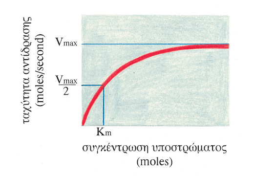 Γραφική παράσταση της ταχύτητας της αντίδρασης ως συνάρτηση της συγκέντρωσης του υποστρώματος για μία αντίδραση που καταλύεται από ένζυμο. Vmax είναι η μέγιστη ταχύτητα.