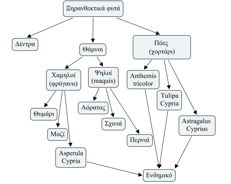 τις έννοιες ή τις σχέσεις που παρουσιάζονται.