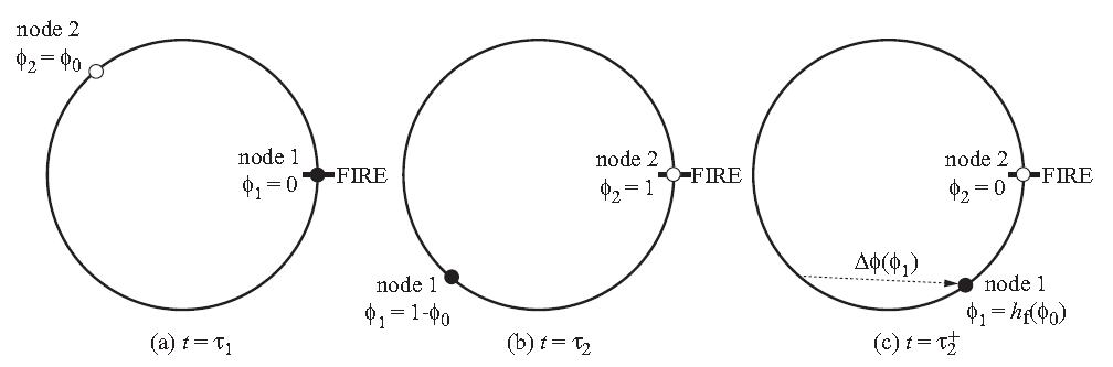 Coupled oscillator Τωο νοδεσ ωιτη πηασε φυνχτιονσ φ 1 ανδ φ 2 φ 0 ισ τηε